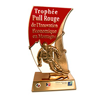 Trophée association en bronze de fonderie et couleurs émaillées (Hauteur 30cm - Poids 5,2kg)
