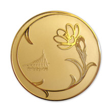 Médaille motif poli région Rhône-Alpes